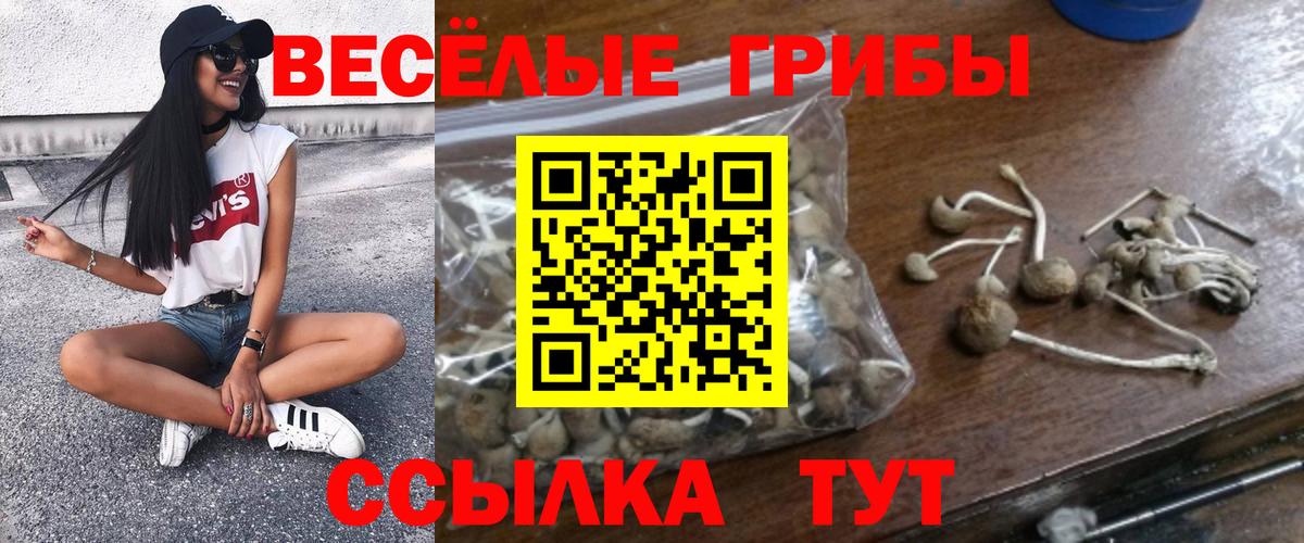 Галлюциногенные грибы мухоморы Касимов