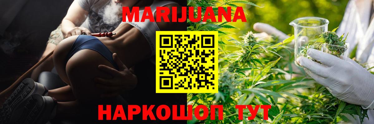 Канабис план Касимов